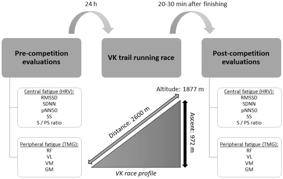 Central and Peripheral Fatigue in Recreational Trail Runners outdoor omm terepeuta