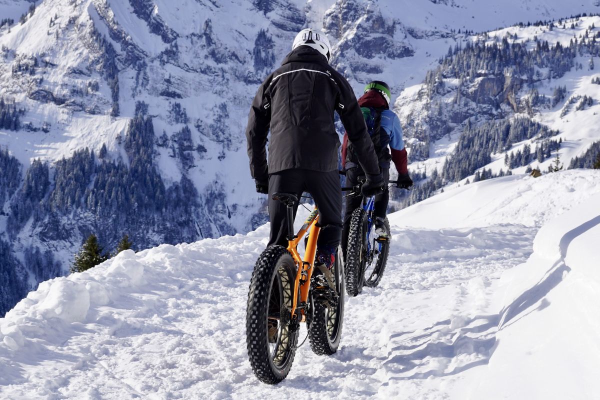 terepsport terepeuta snow bike training